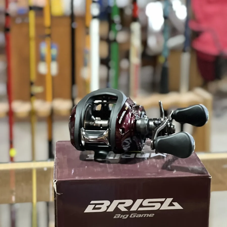 Brisa BG MARINE